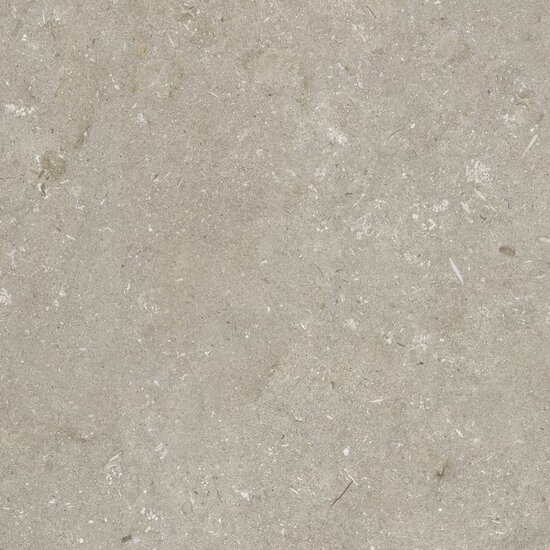 Shellstone Taupe 60x60x3cm  