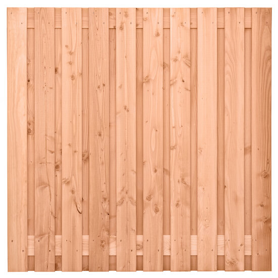 Tuinscherm Douglas geschaafd 21-planks (19 + 2) Zwarte Woud 180 x 180 cm