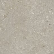 Shellstone Taupe 60x60x3cm  